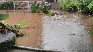 Inondations à la cité Horizon du Pk10: Laxisme des dirigeants et incivisme des habitants 10 IMG 20241114 WA0118