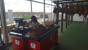 IMG 20251024 125217