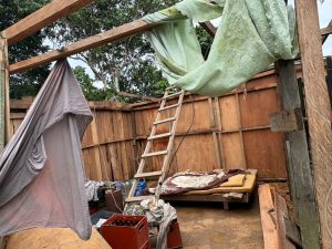 Vents violents : désolation et toits arrachés à Bifoun Abanga 42 IMG 20260501 WA0220