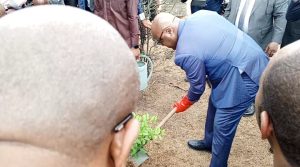 L’ambition industrielle au cœur de l’Afrique : Félix Tshisekedi sous le charme du modèle de Nkok 111 Screenshot 20260817 161909