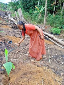 Edith Ada Essono, l'agricultrice qui honore le Gabon et mérite une ferme-école aux standards modernes 11 IMG 20260930 WA0007