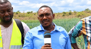 Coopérative agropastorale Ilungu